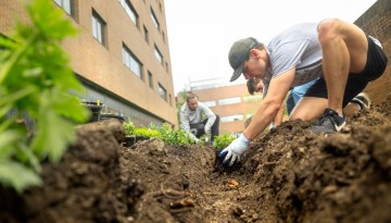 Student volunteers with The Pollinator Garden Initiative plant a garden behind Comstock Hall.