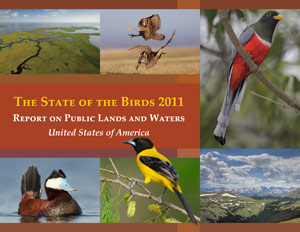2011 State of the Birds report