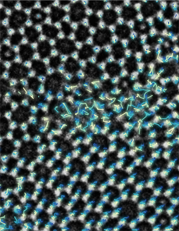 Electron microscope image of silica