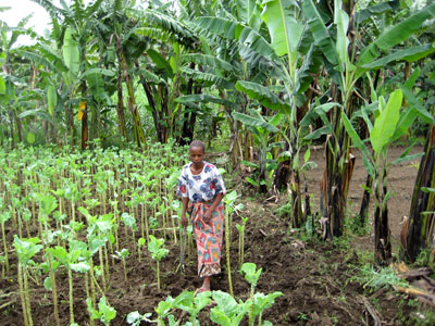 farmer in Sub-Saharan Africa