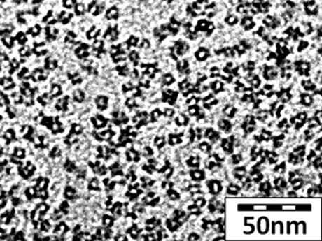 Mesoporous C-Dots populate a field a few hundred nanometers wide.