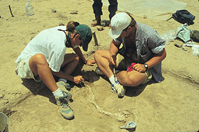 excavating a late burial at Puerto Escondido