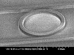 electron microscope photo