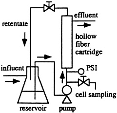 Schematic of a laboratory-scale bioreactor 