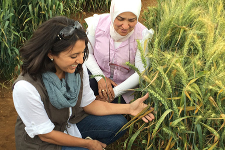 women in wheat field