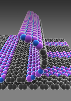 Schematic illustration of single-atom-thick films