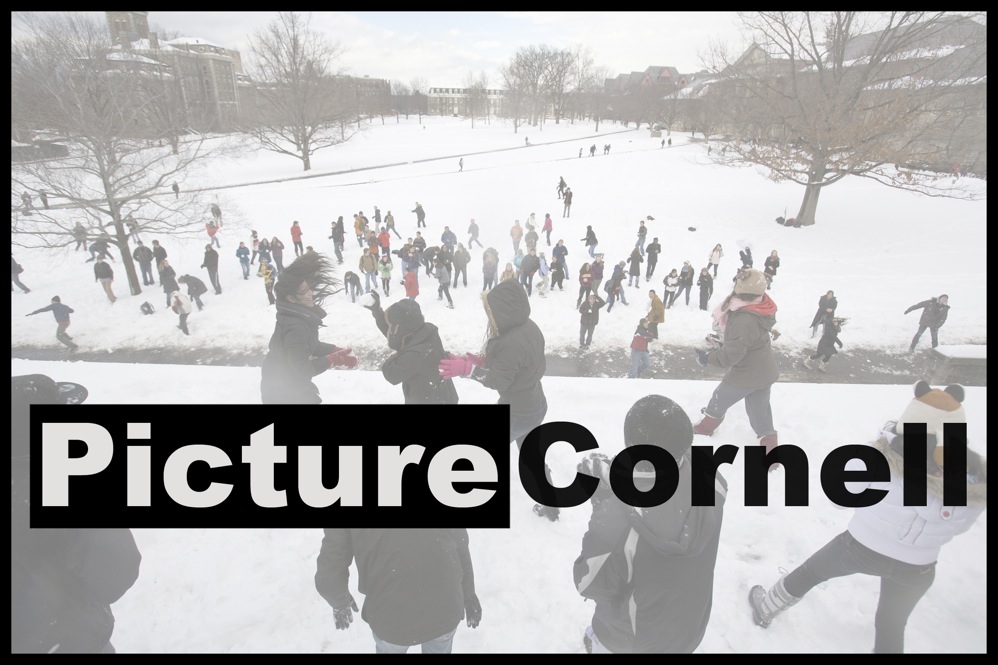 Picture Cornell Feb. 8, 2011 Cornell Chronicle