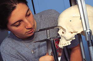  Kristen Hartnett takes measurements on the skull of her term-project skeleton