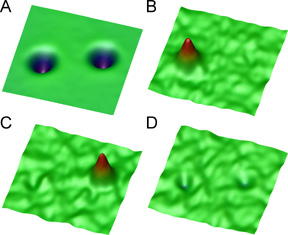 vibrational microscopy, with computer-generated 3-dimensional images