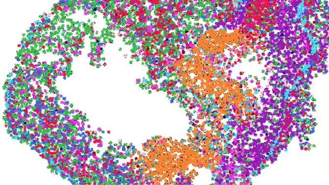 spatial transcriptomic map 