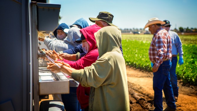 Farm workers wash hands