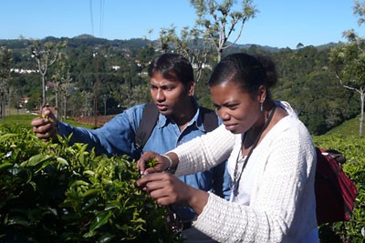 Satish Pindi, left, and Kimberly Brown practice picking tea