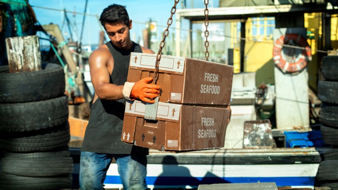 Man on Dock Unloading Boxes of Seafood