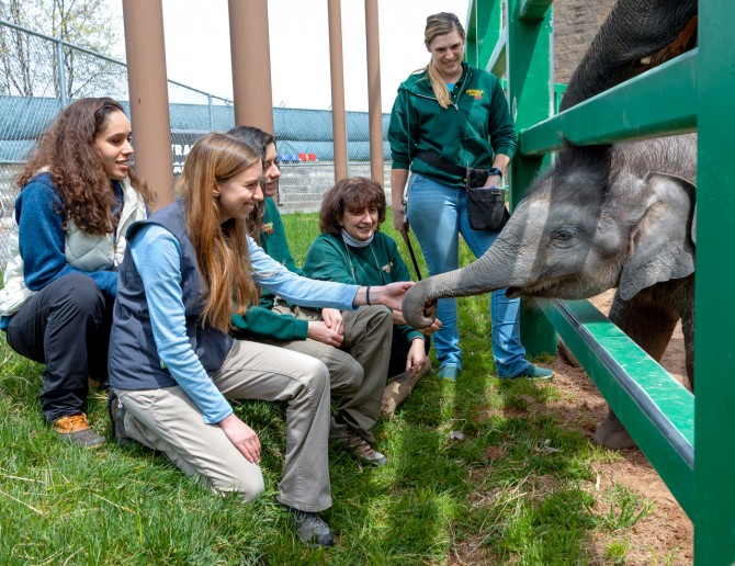Dr. Noha Abou-Madi with elephant and students