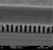 Scanning electron micrograph