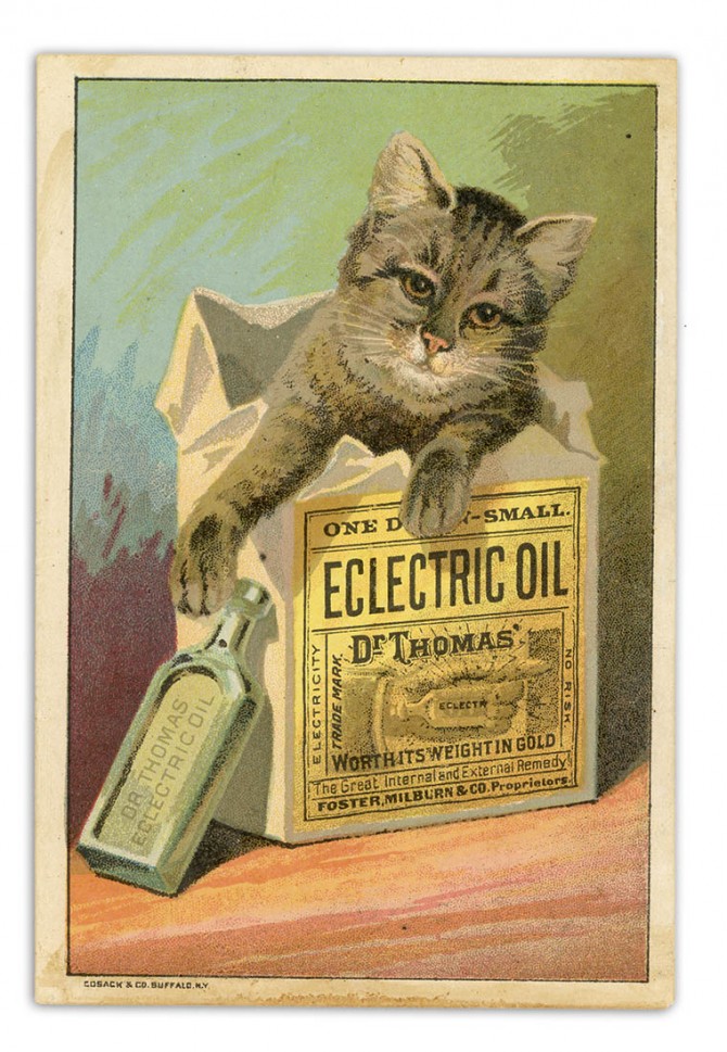 Dr. Thomas's Eclectric Oil, distributed by Foster