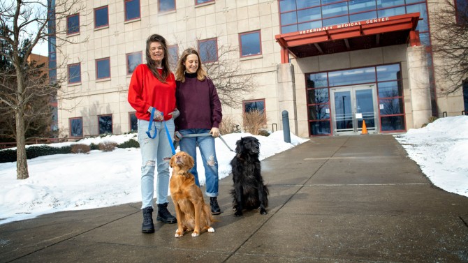 Two dogs donated blood samples to the Cornell Veterinary Biobank