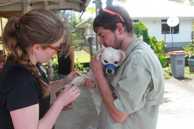 collecting sample from a dog in French Polynesia
