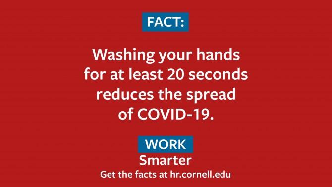 Fact: Washington your hands for at least 20 seconds reduces the spread of COVID-19. Work Smarter. hr.cornell.edu