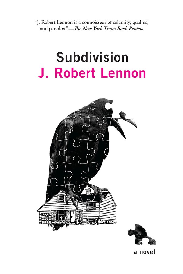 Subdivision book cover