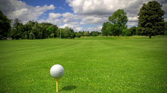 Golf turf expert wins posthumous award for NY impact | Cornell Chronicle