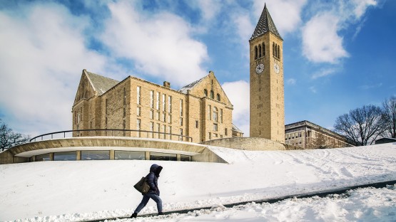 Cornell announces travel guidelines in response to ...