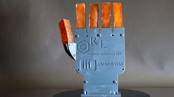 Researchers create 3D-printed, sweating robot muscle - Cornell Chronicle