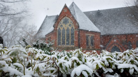 A spring snow squall covers plants in snow near Sage Chapel.