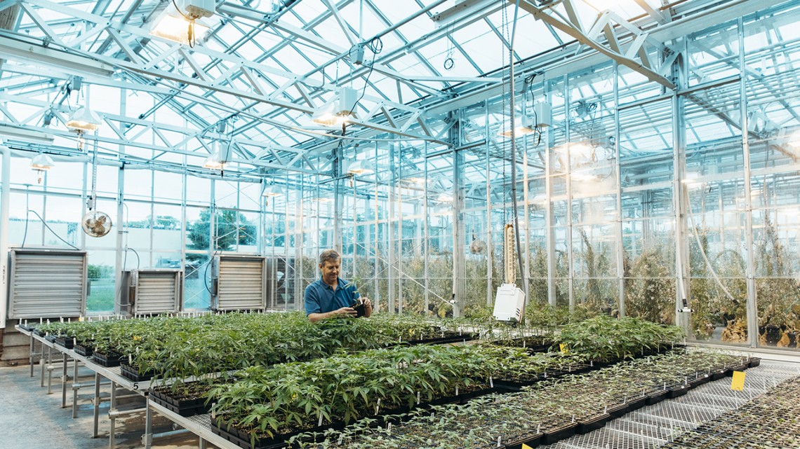 Larry Smart in greenhouse