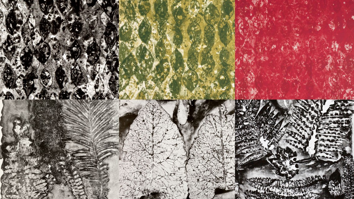 These details from prints by Greg Page, associate professor of art