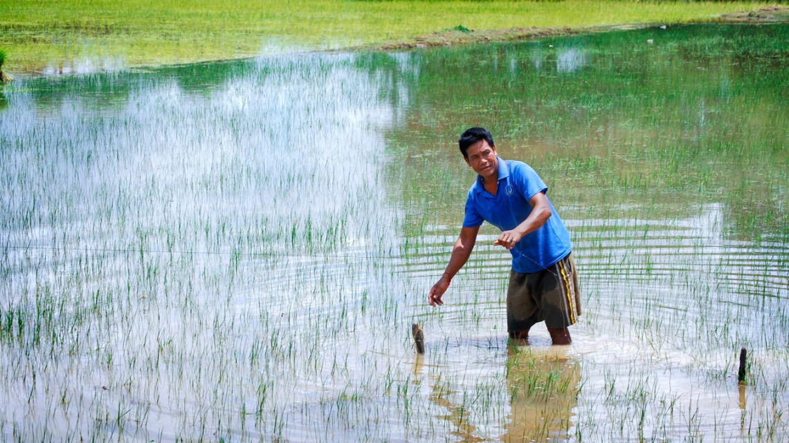 Cambodia fisherman
