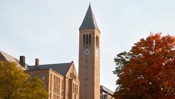 McGraw Tower and trees