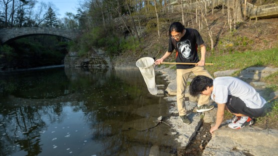 Snodgrass and Wigglesworth, an entomology club, searches Beebe Lake for insects.