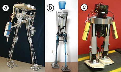 Robots That Simulate Life By Walking With Close To Human