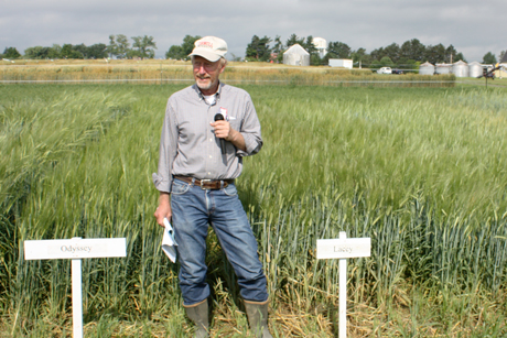 Mark Sorrells in barley field