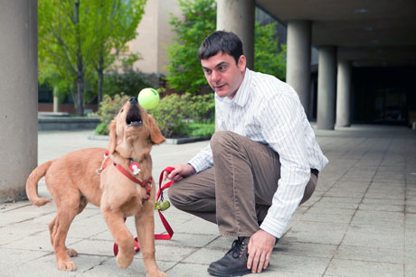 Cornell university dog sales dna test