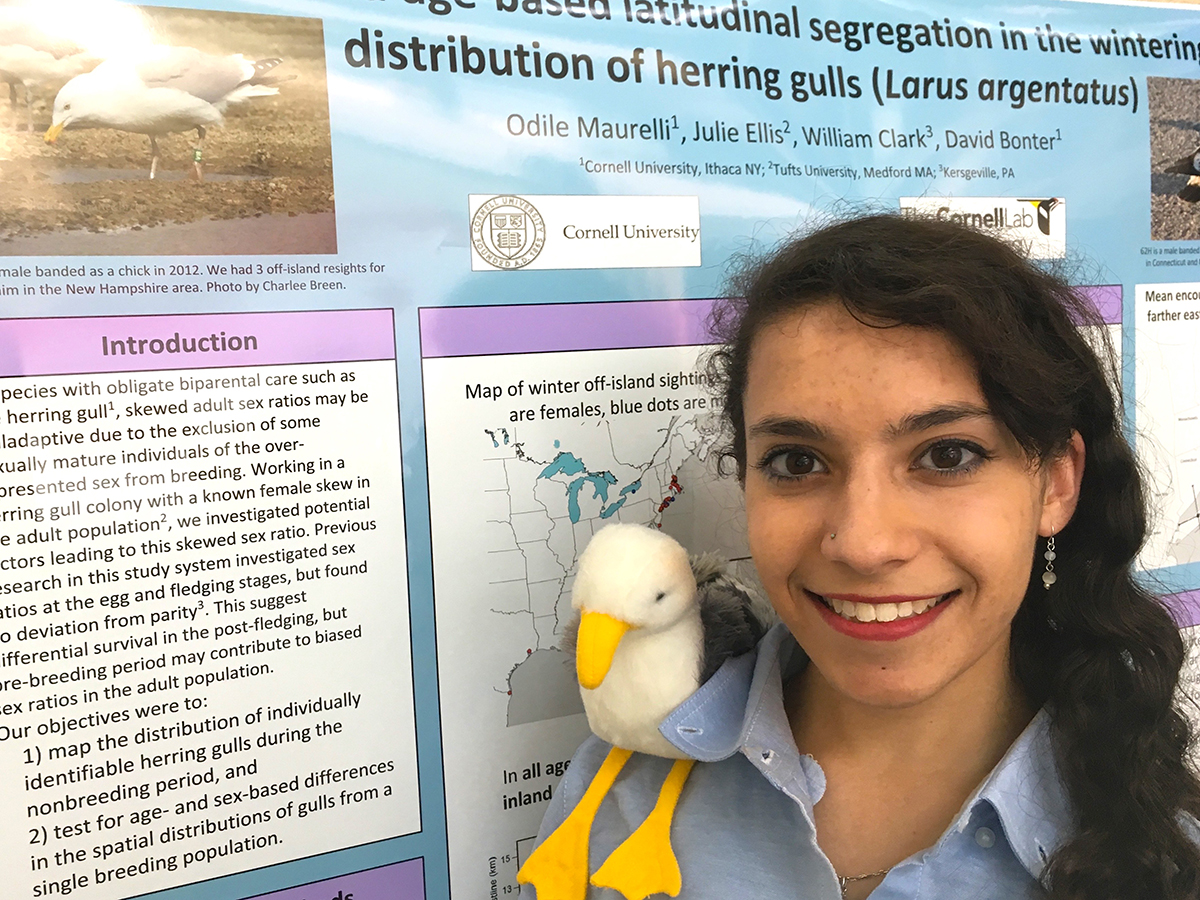 CURB enthusiasm: Undergrads show off research at forum | Cornell Chronicle