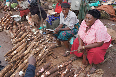 selling cassava in Uganda