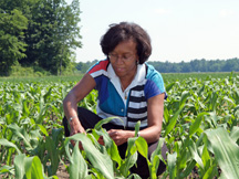 Helene Dillard in a cornfield