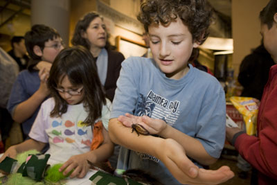 Isaac Lyons, 9, lets a Madagascar hissing cockroach crawl up his arm