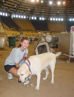 Cornell Vet College aids massive Louisiana animal rescue effort | Cornell  Chronicle