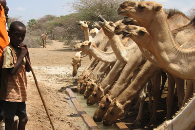  herders in Karare
