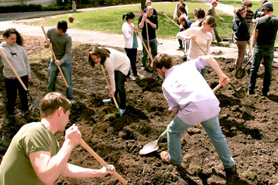 students build garden