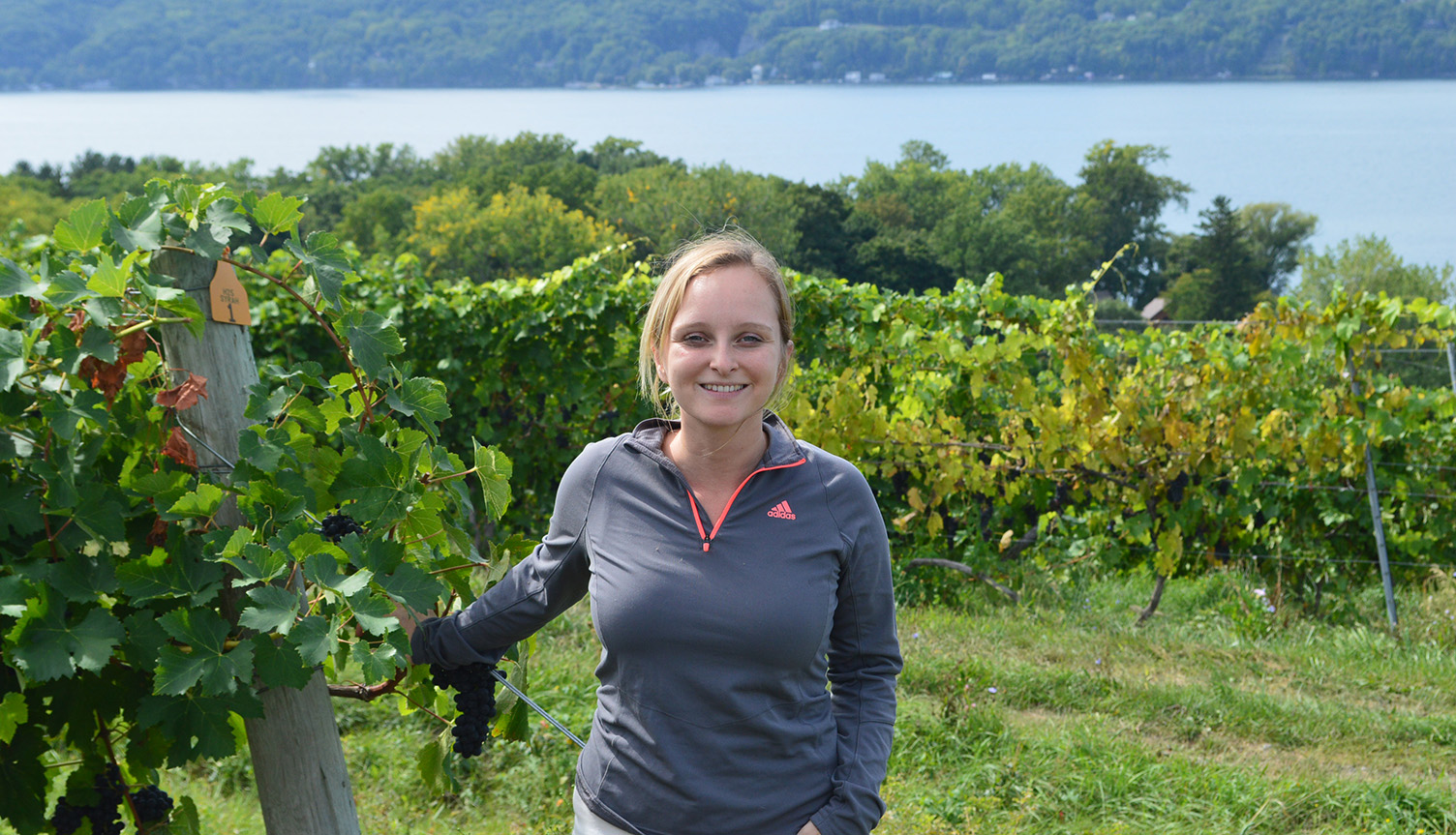 Graduate student honored for grape disease research | Cornell Chronicle