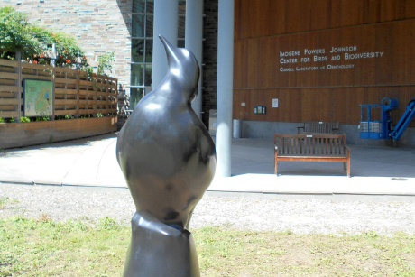 sculpture of a passenger pigeon