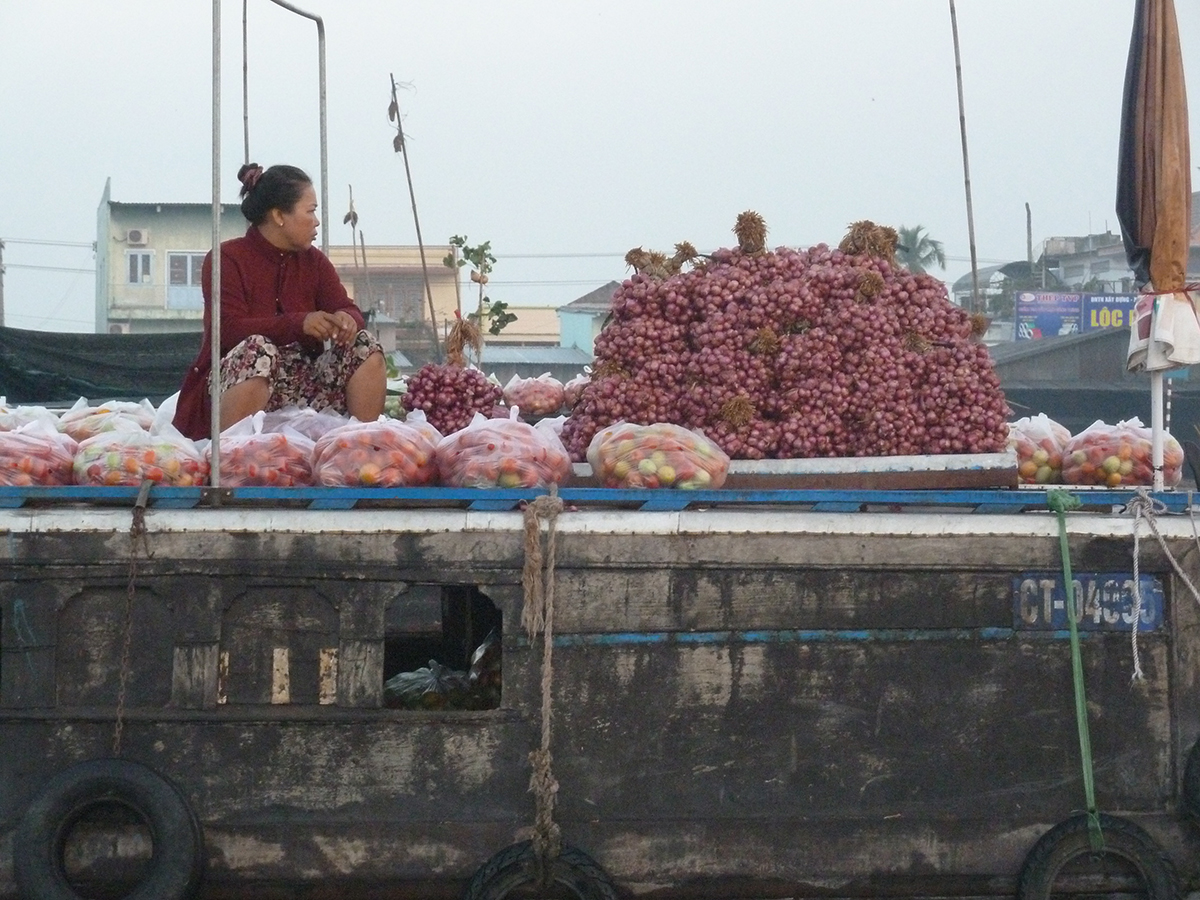 How is Vietnam's Mekong Delta adapting to a changing climate?