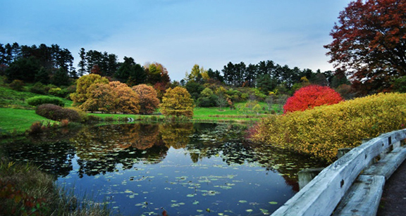 F.R. Newman Arboretum ranked No. 1 most beautiful | Cornell Chronicle