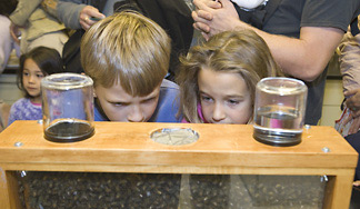 Three floors of Comstock Hall were transformed into a multilegged extravaganza Oct. 14 for Insectapalooza 2006 -- the Department of Entomology's annual open house.