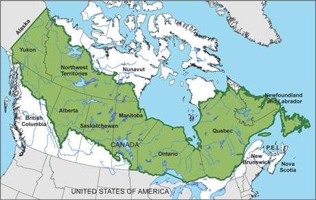 boreal forest region