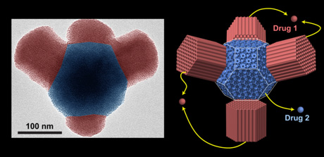 illustration of multicompartment nano particle